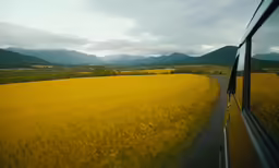 a road with a field outside next to it