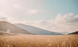 a field that is very tall with some clouds in the sky