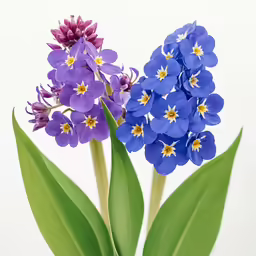 the purple and blue flowers are in a vase