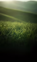 the view from above of some grass