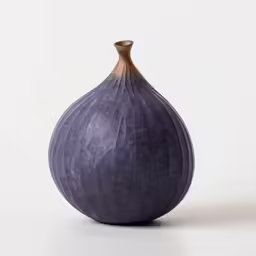 a close up of an onion on a white background