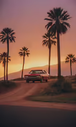 a truck is on the side of a dirt road and palm trees in the background