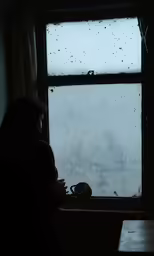 a person staring out a window at the outside