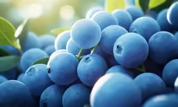 close up of blueberries with green leaves