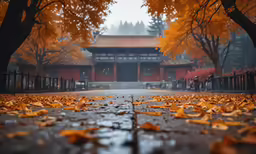 there is a small red building surrounded by yellow leaves