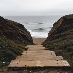 a set of stairs up to the ocean on a beach