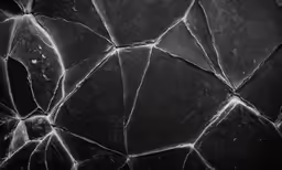 a close up image of cracked glass