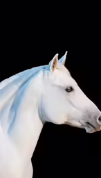 a white horse looks over his shoulder in profile