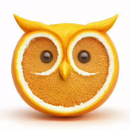 an owl made out of oranges with eyes