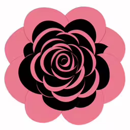 a flower in black and pink,a pink and black flower on a white background,black and pink flower, on a white background,a black and pink rose is standing out against a white background,a flower with a pink center is in the middle