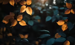 bright autumn leaves against a bright and blurry backdrop