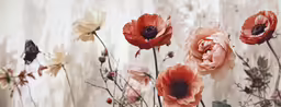 a close up shot of some flowers on a wall