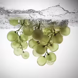 green fruit floats beneath the water surface