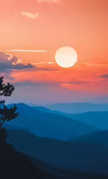 a tree on the ground in front of mountains