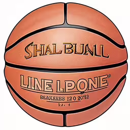 an engraved basketball on a white background,an orange basketball that is for shal binl line lions,a basketball is in a drawing, and the name has an official team logo,a basketball with a quote on it,a basketball sitting on top of a wooden floor