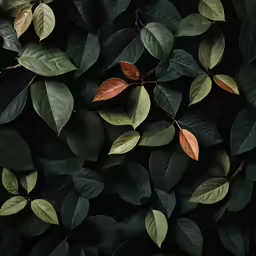 green leaves are grouped together with a dark background