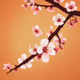 a branch with pink flowers against an orange background,a tree branch that has some pink flowers on it