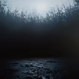 the sun is setting behind trees and water
