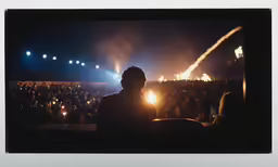 there is a photo of an audience at a concert