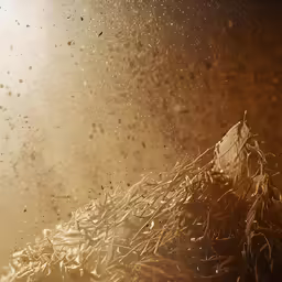 water coming out of the top of a container filled with grains