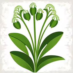 illustration with green leaves and buds in the background,some green flowers are shown on white paper