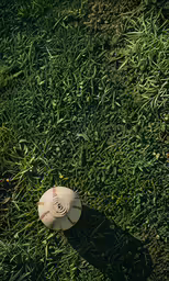 a white fire hydrant laying on the grass