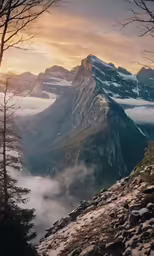 a snowy mountain top with pine trees and clouds in the sky