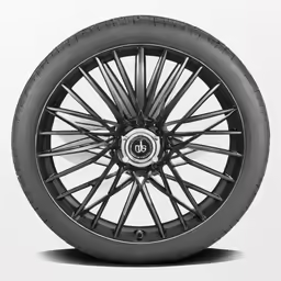 the wheel is shown, with spokes and tire wheels