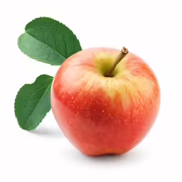 an apple has green leaves near it