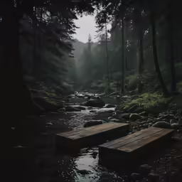 the dock is next to a forest stream