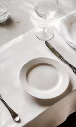 the empty plate is set at the table ready for a meal