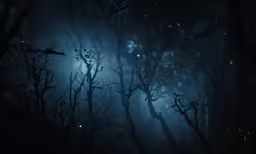this is a photo of a dark forest at night