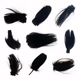 several black feathers lined up on top of each other