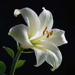 the flower is blooming brightly in a vase