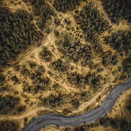 an aerial photo of an empty road through a forest