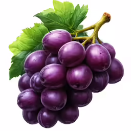 purple grapes with leaves and water droplets