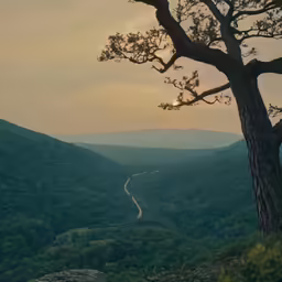 a landscape view of the rolling hills and river
