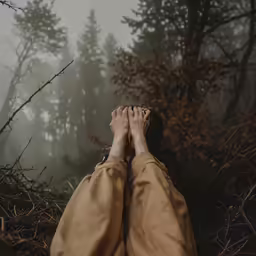 a person standing on top of a forest