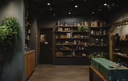 large shelves in a black room with lots of green plants