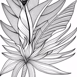 a drawing of a tree with long leafed branches,a black and white drawing of a flower on a leaf