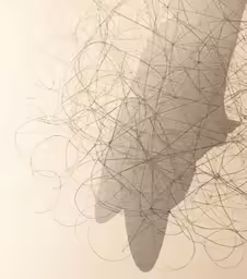 the image of abstract lines, including the silhouette of a large bird