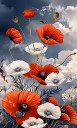 a bunch of red and white flowers near a cloud