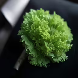the small flower is green and fuzzy