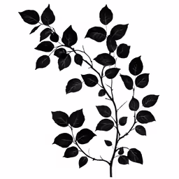 a branch with leaves on a white background