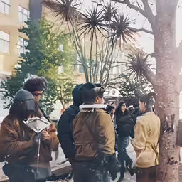 a number of people gathered together near one tree