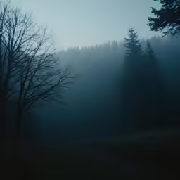 person with umbrella standing on dirt path near trees