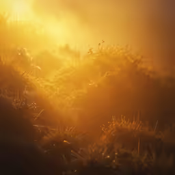 the sun shining down on a grassy hill