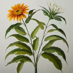 an image of a yellow flower in a glass vase