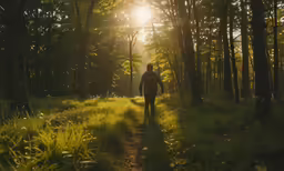 the man is hiking down the trail in the woods