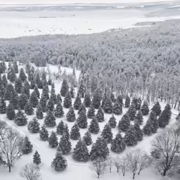 a lot that has been covered in snow next to a lake